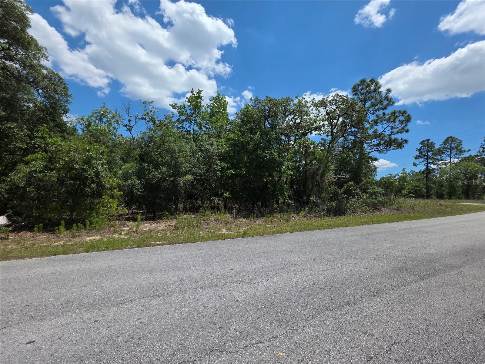 Details for Lot 18 Wood Road, DUNNELLON, FL 34431