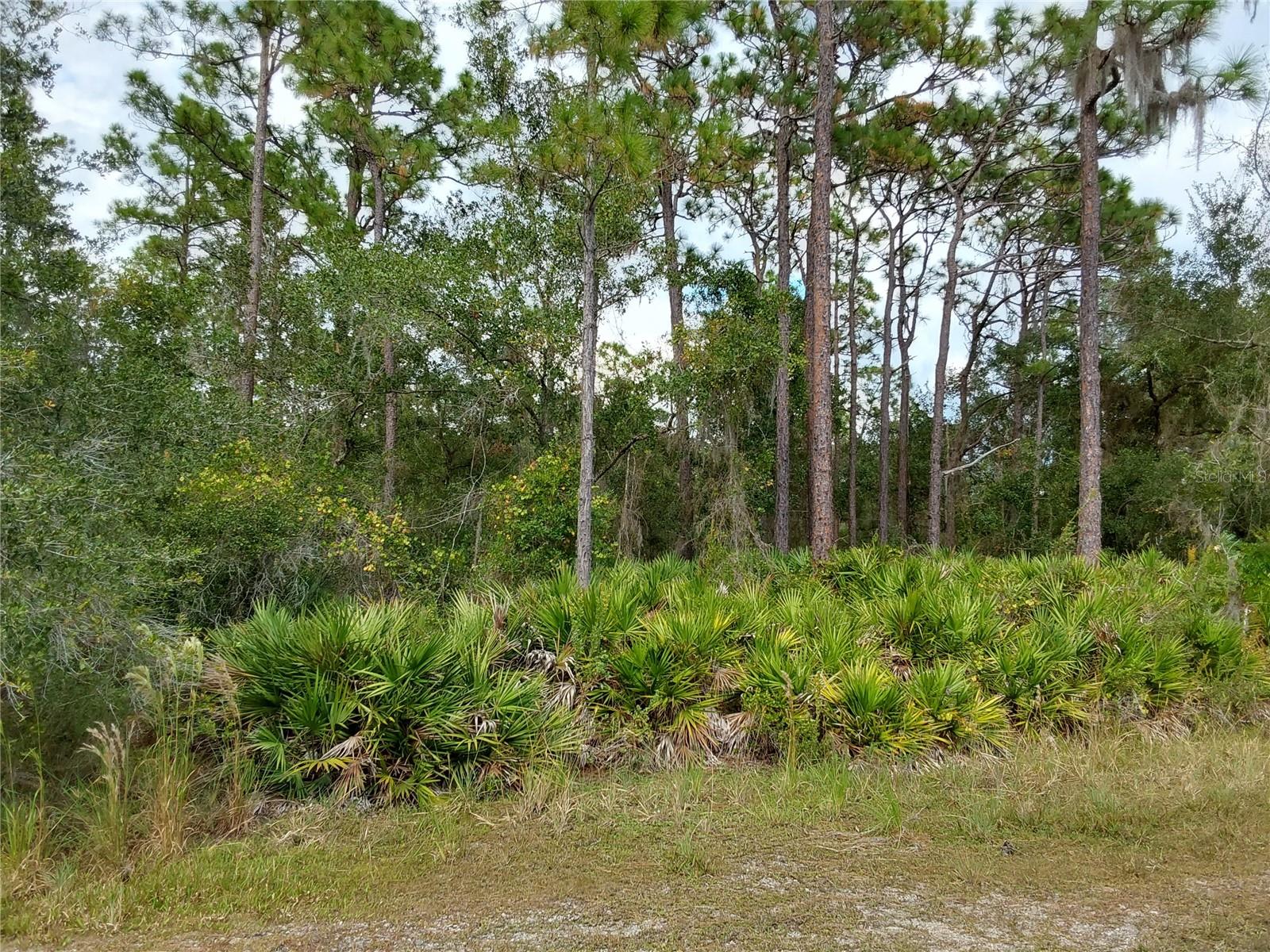 Details for Lot 29 Shore Drive, LAKE WALES, FL 33898