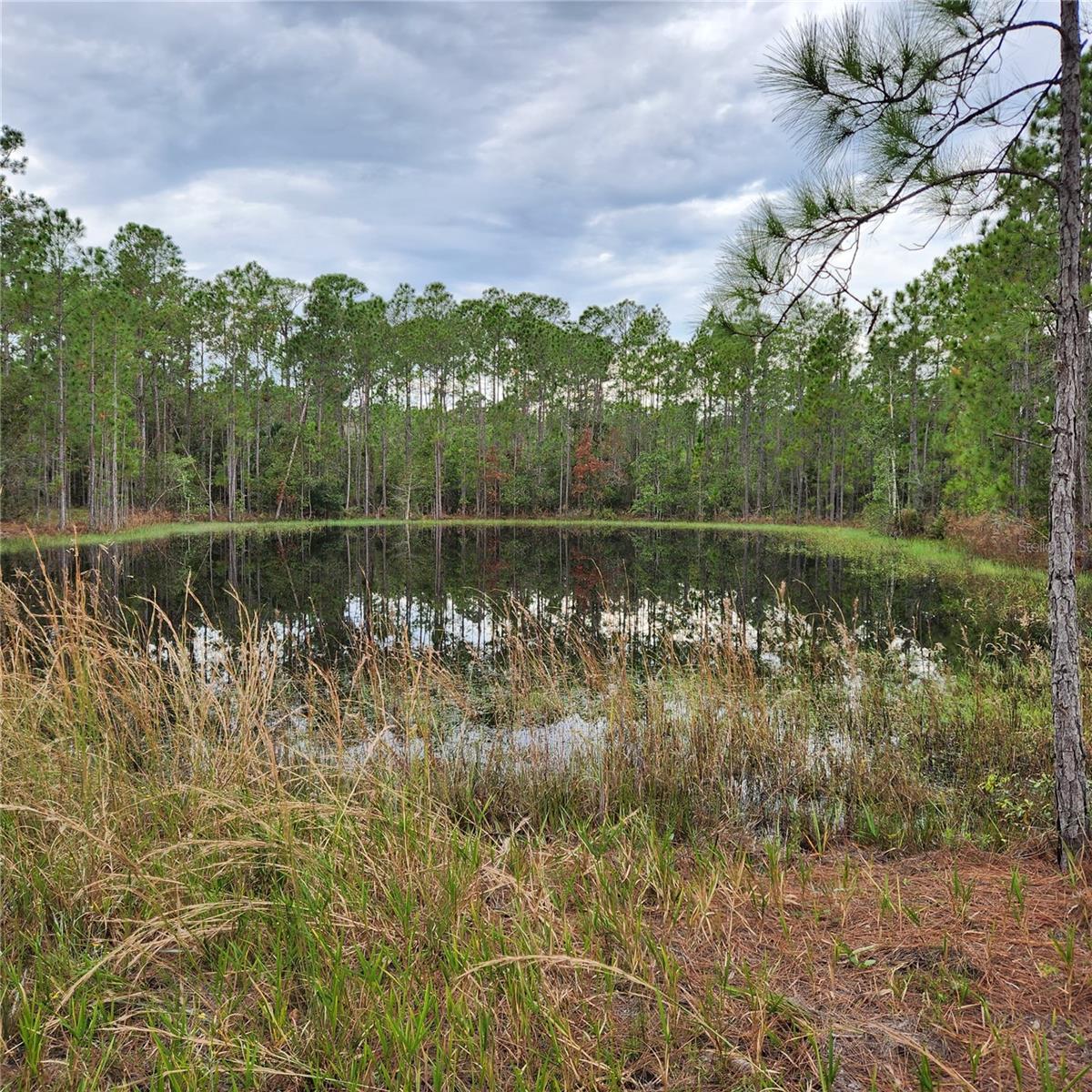 Details for Lot 2 Shore Drive, LAKE WALES, FL 33898