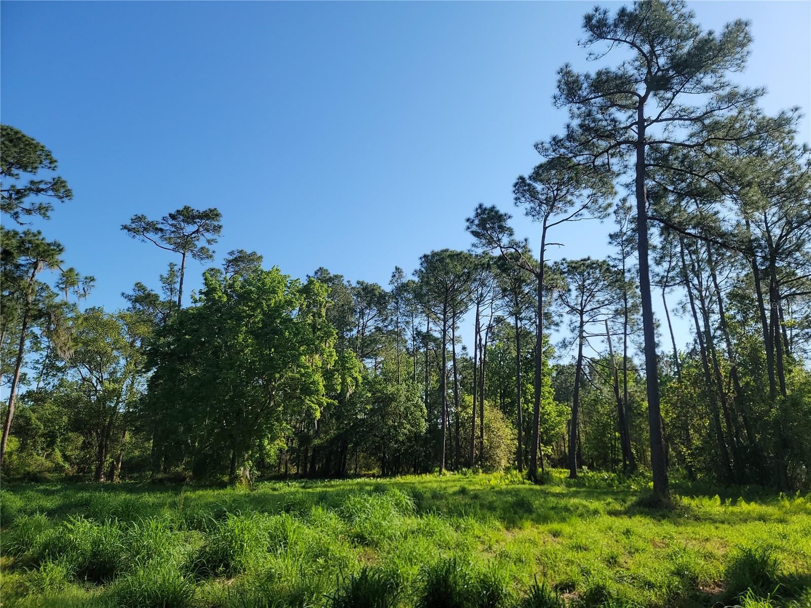 Details for Pollard Road, WINTER HAVEN, FL 33884