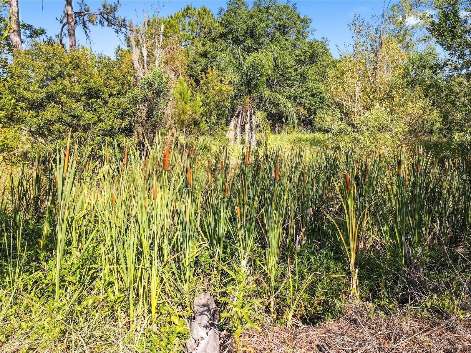 Image 9 of 30 For 13921 Pine Meadow Road