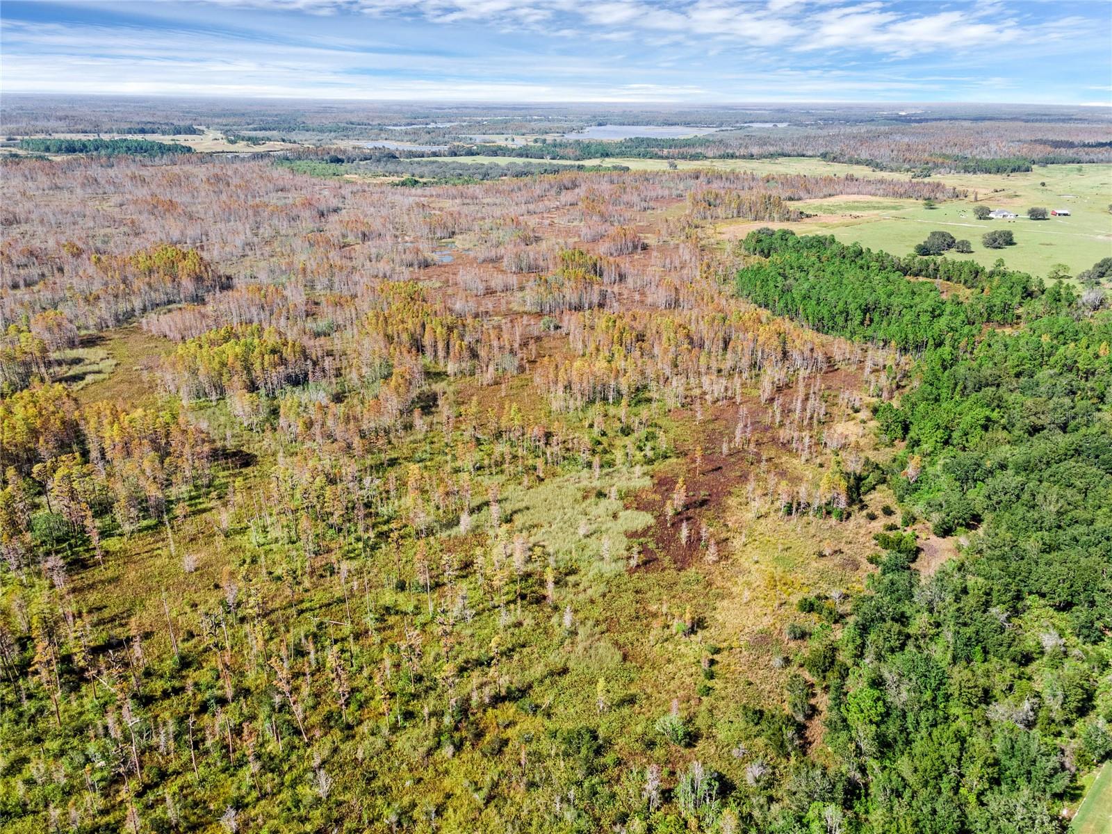 Image 11 of 14 For Diamond Acres Road Road