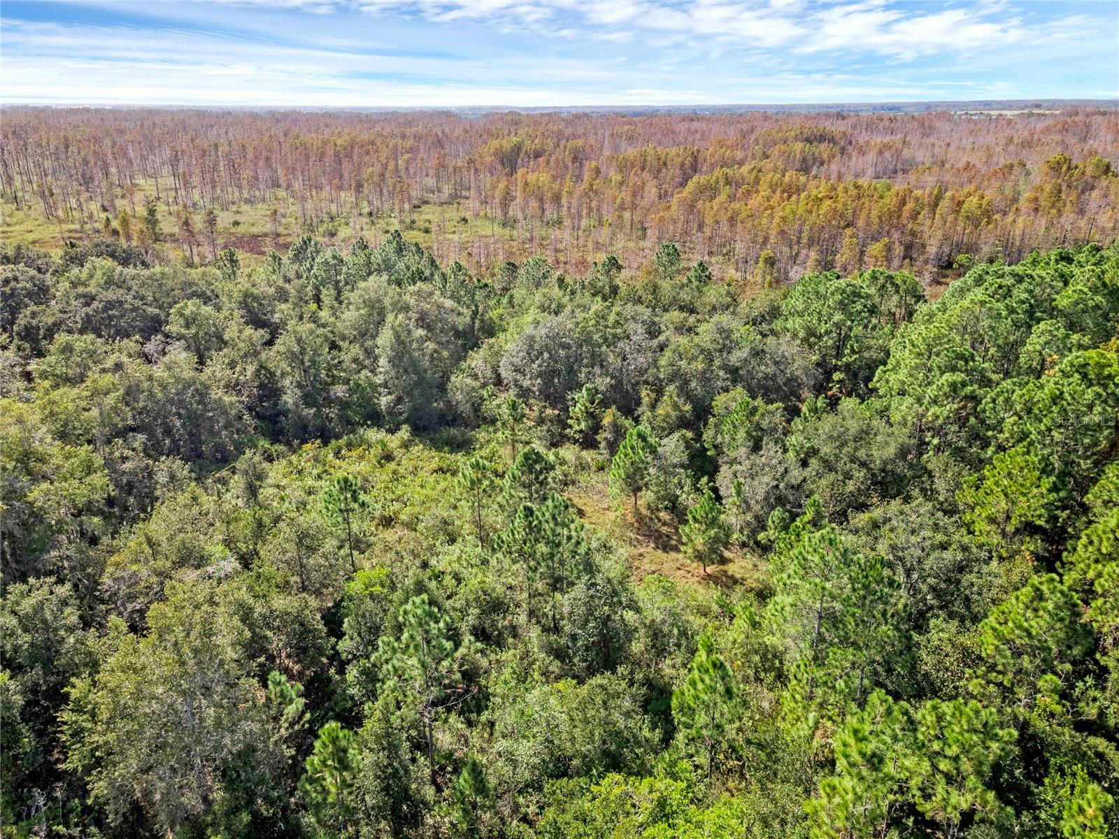 Image 13 of 14 For Diamond Acres Road Road