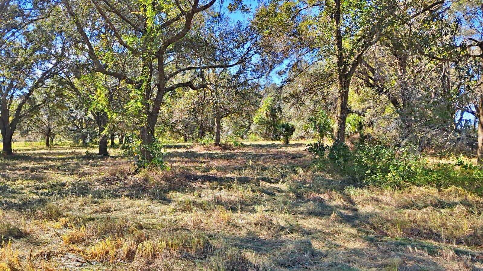 Image 4 of 13 For  Conroy Lane 