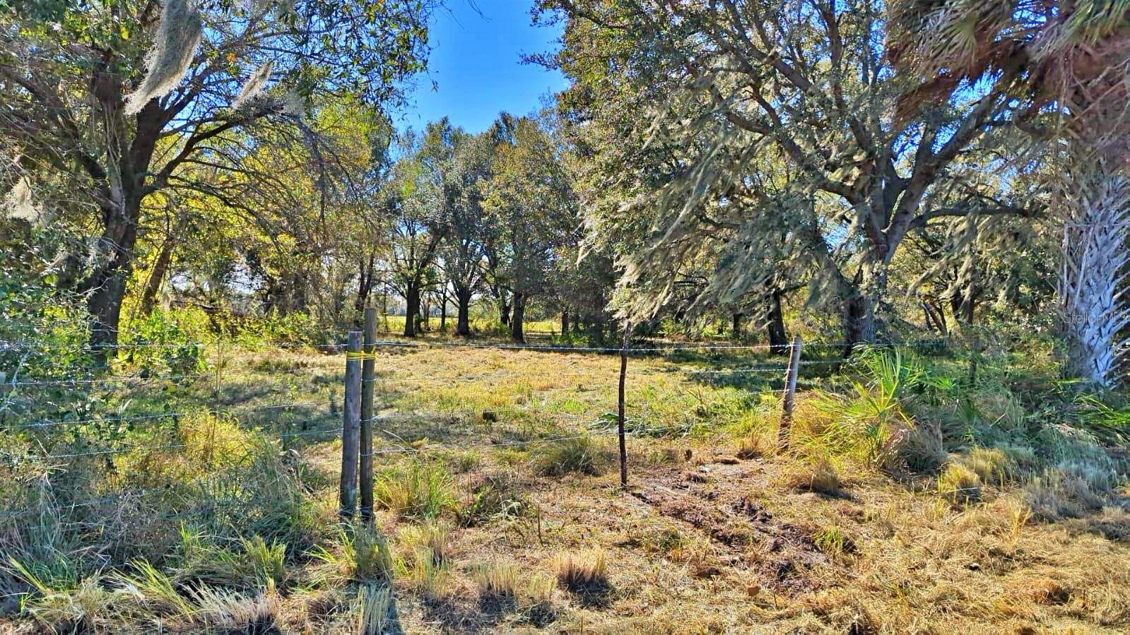 Image 5 of 13 For  Conroy Lane 