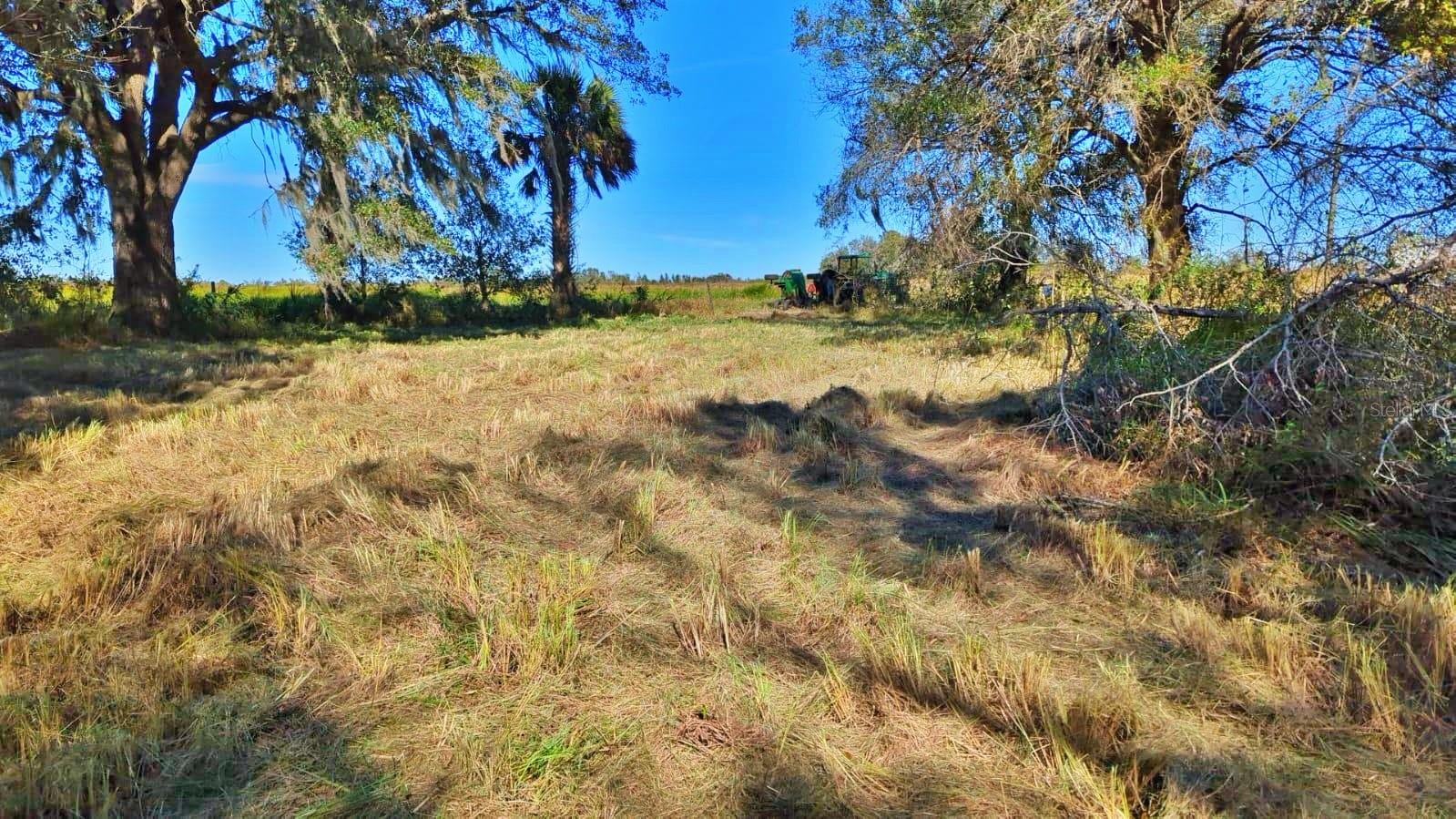 Image 6 of 13 For  Conroy Lane 