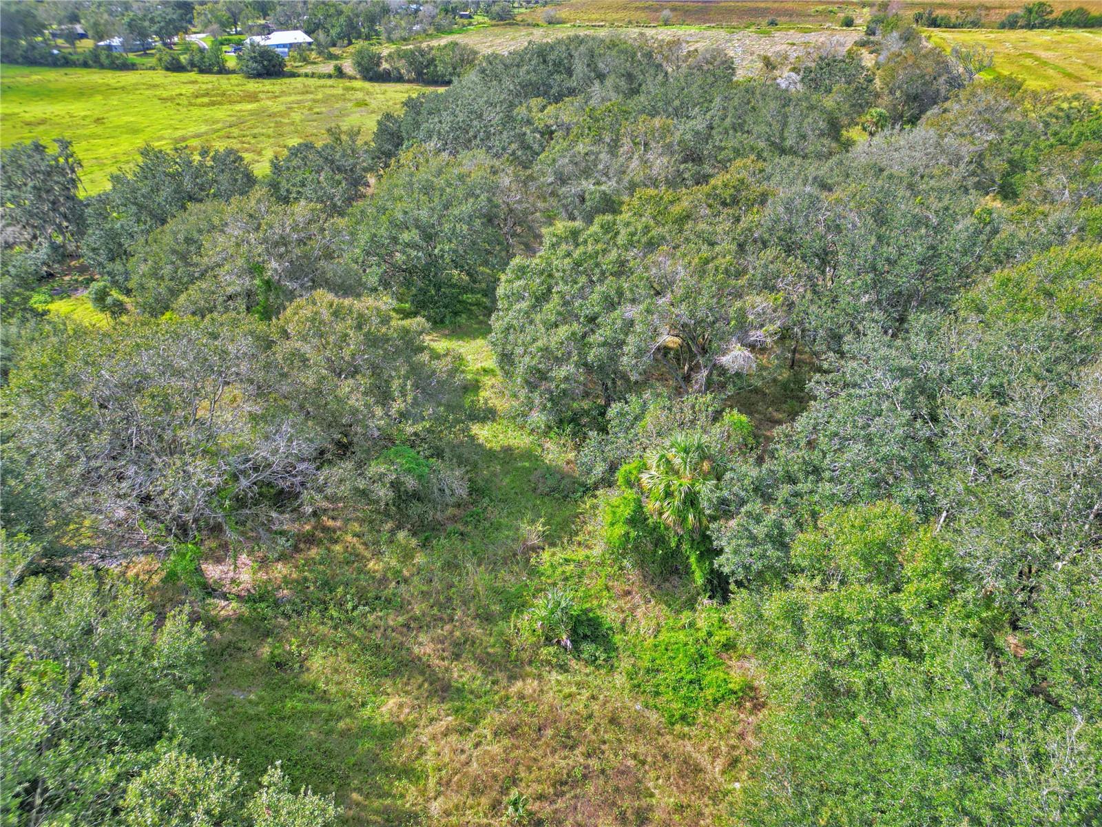 Image 9 of 13 For  Conroy Lane 