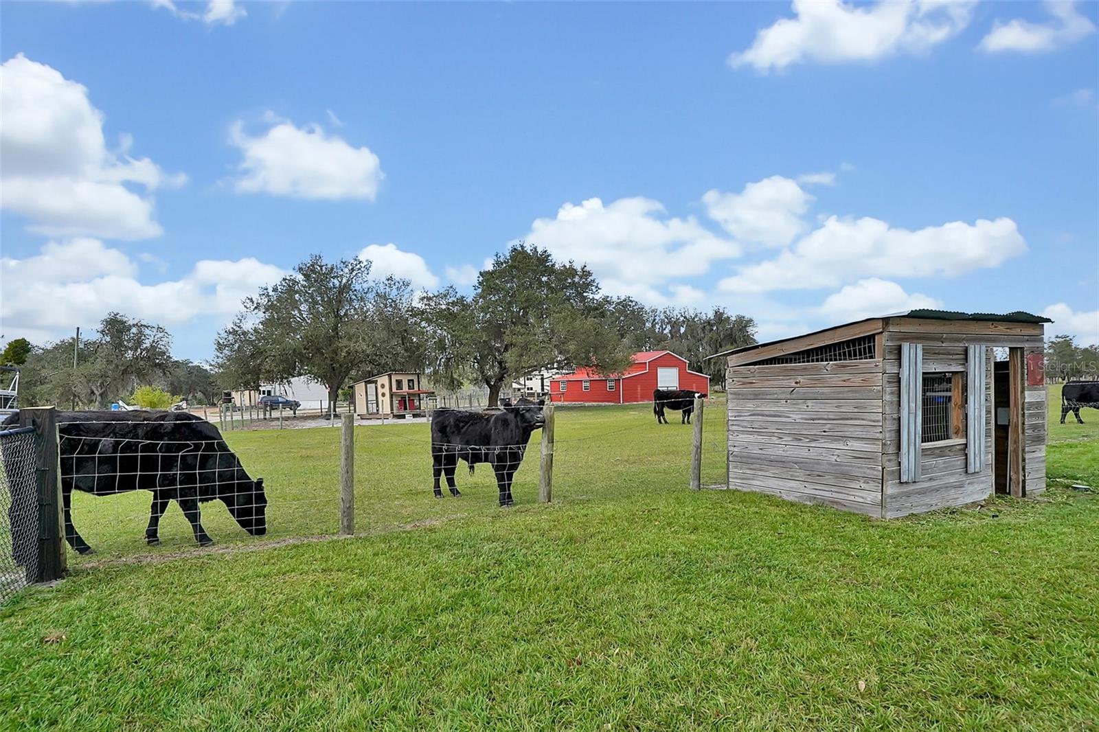 Listing photo id 46 for 3395 Lake Buffum Road E