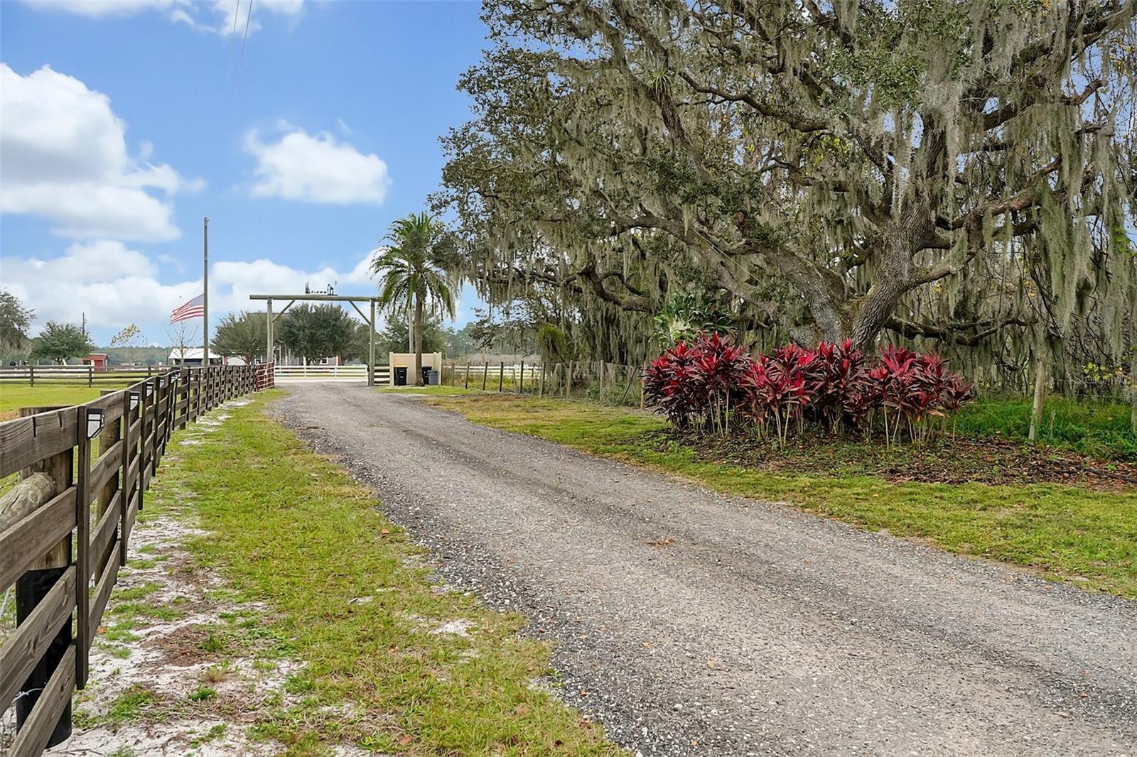 Listing photo id 71 for 3395 Lake Buffum Road E