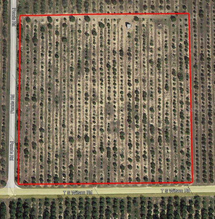 Details for T S Wilson Road, FROSTPROOF, FL 33843