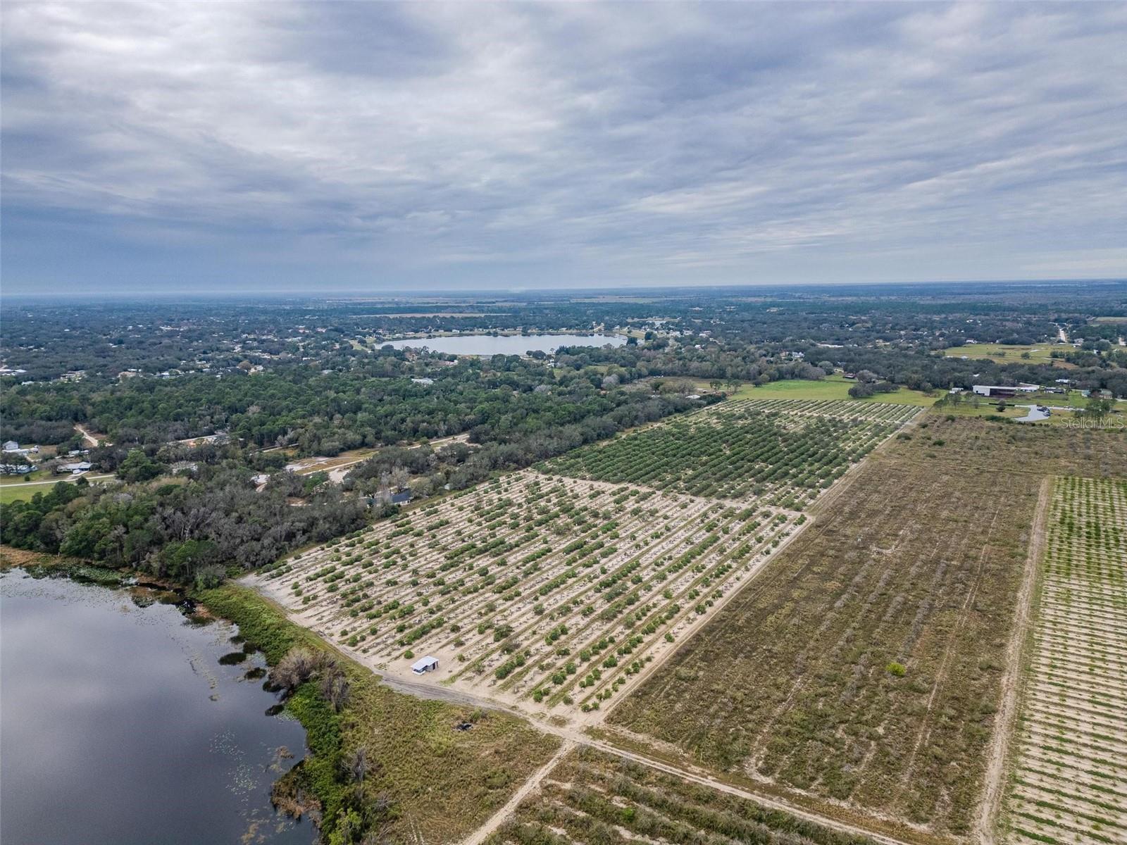 Image 9 of 16 For 2982 Bowden Road