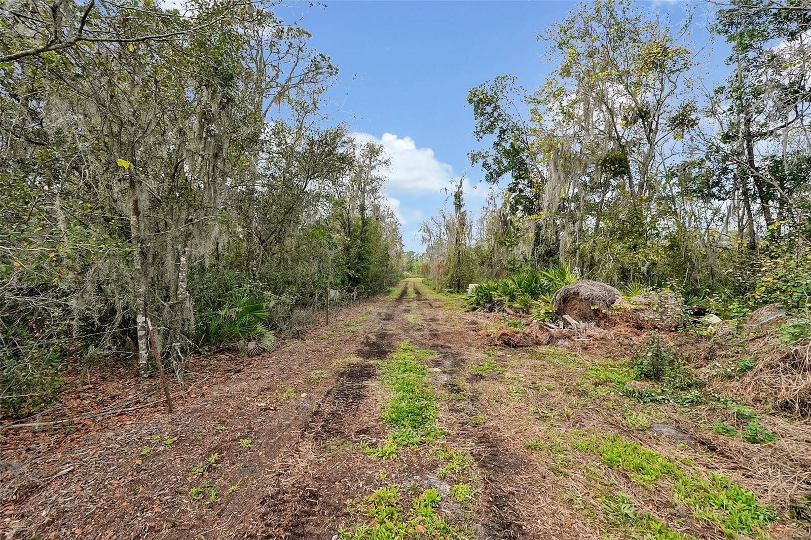 Image 7 of 10 For Lake Buffum Rd  E