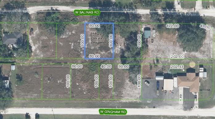 Listing Details for 1713 Salinas Road, AVON PARK, FL 33825