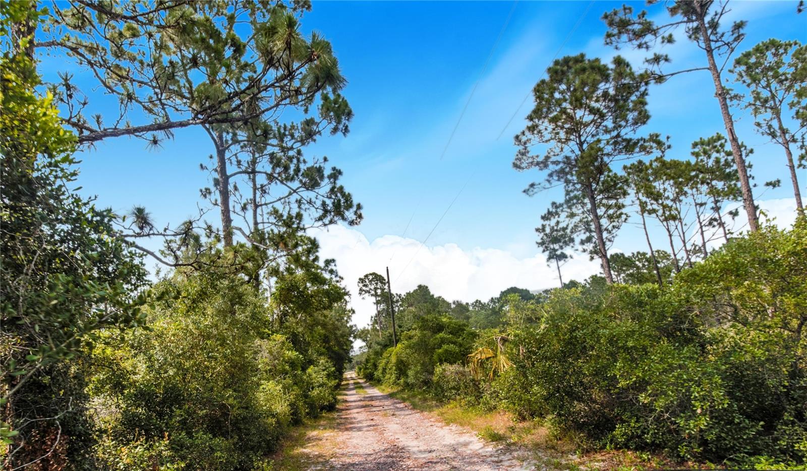 Image 46 of 56 For 12510 Lake Hatchineha Road