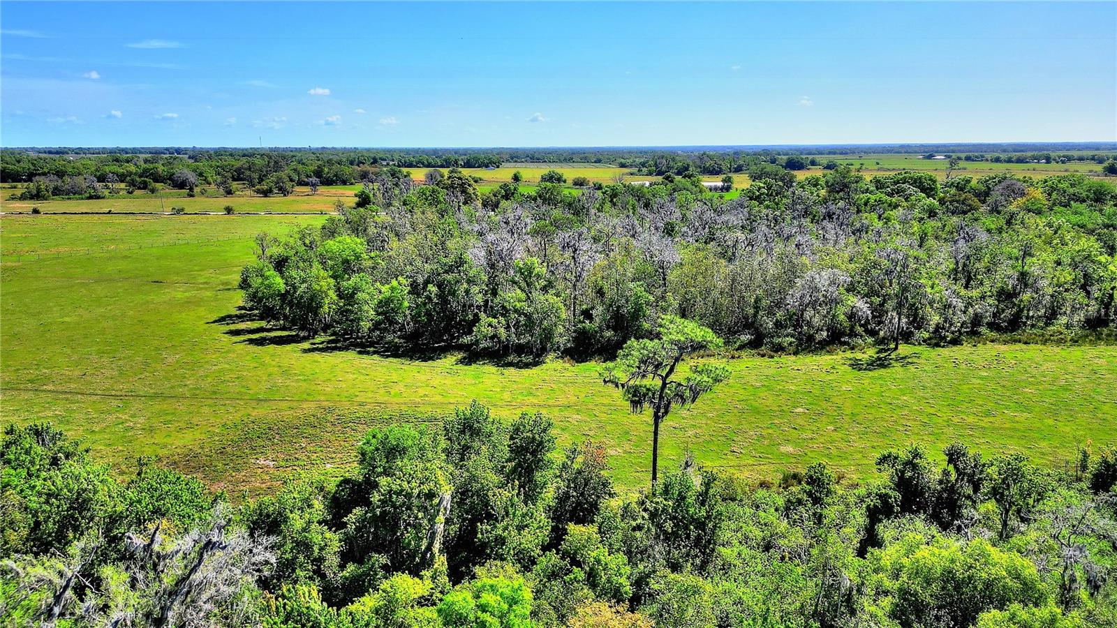 Details for 0 Barlow Road, ZOLFO SPRINGS, FL 33890