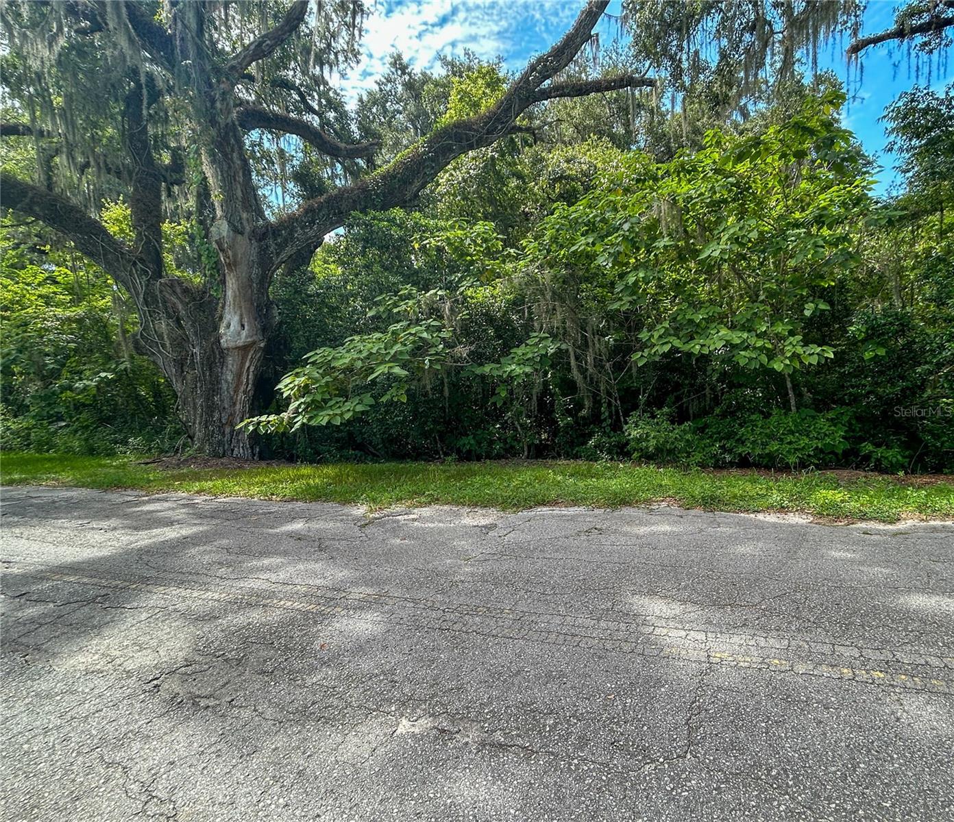 Details for 0 Jefferson Street, CENTER HILL, FL 33514