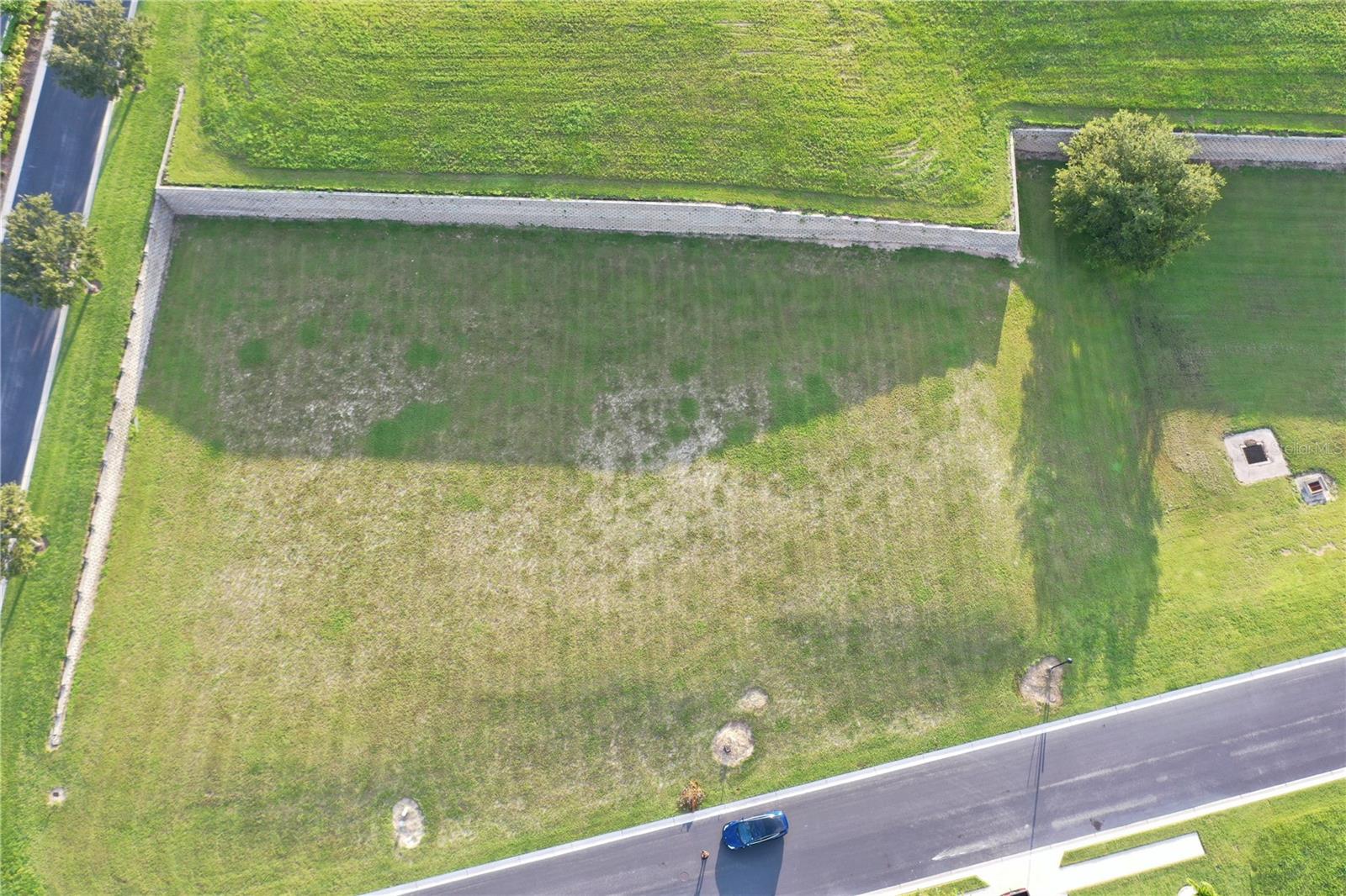 Image 2 of 30 For Bonamia Avenue