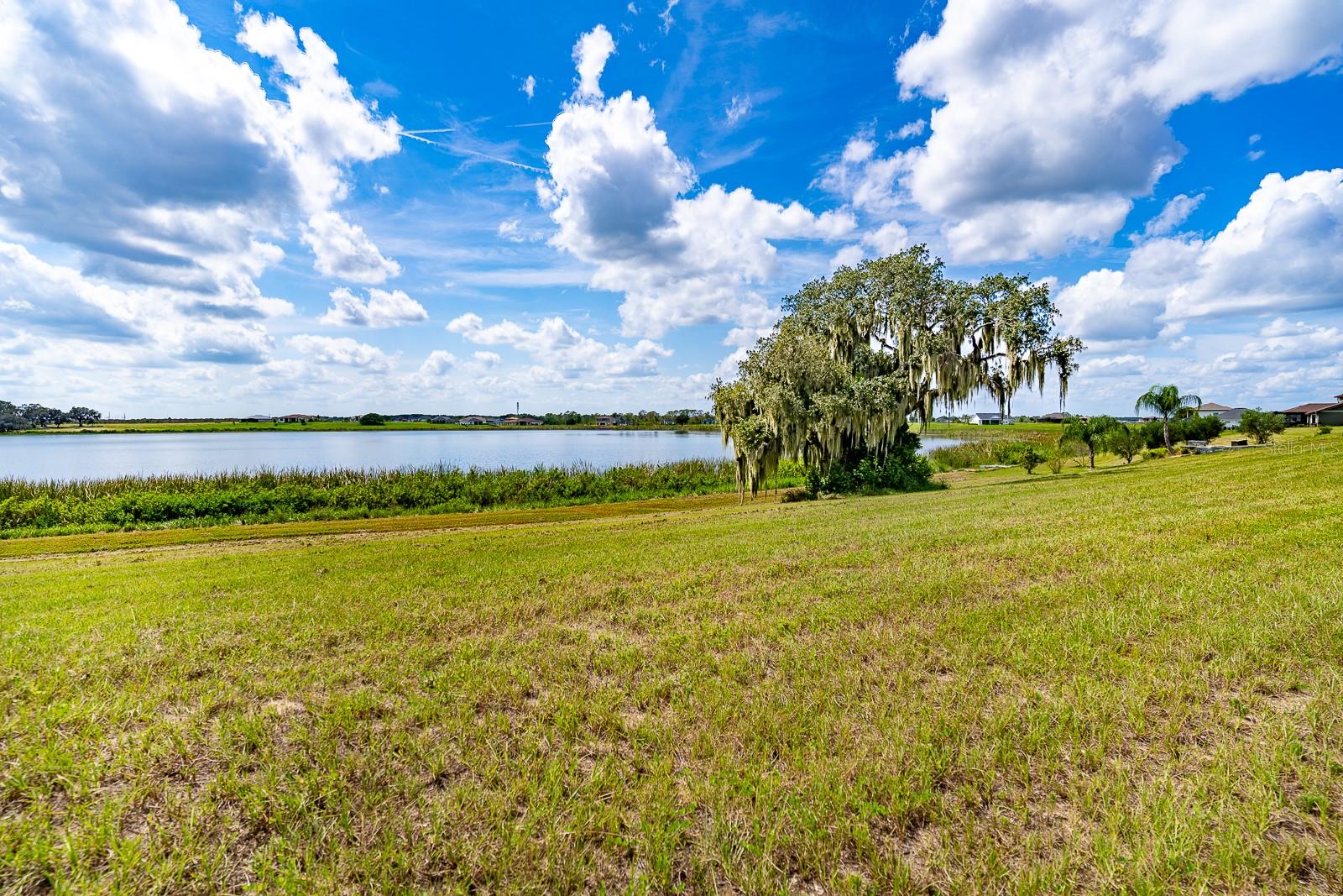 Details for 156 Valencia Ridge Drive, AUBURNDALE, FL 33823