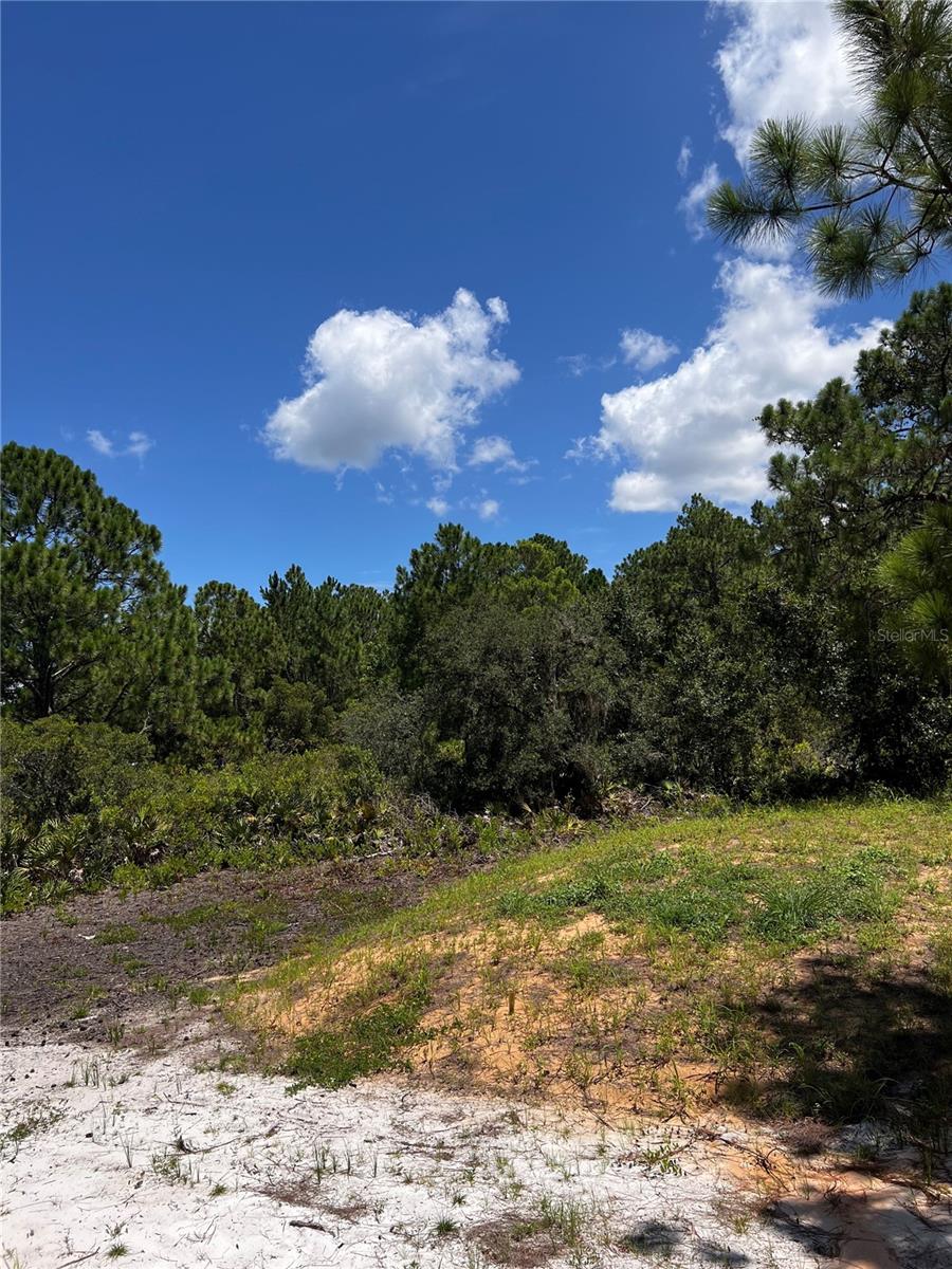 Image 9 of 20 For 120 Woodstork Way