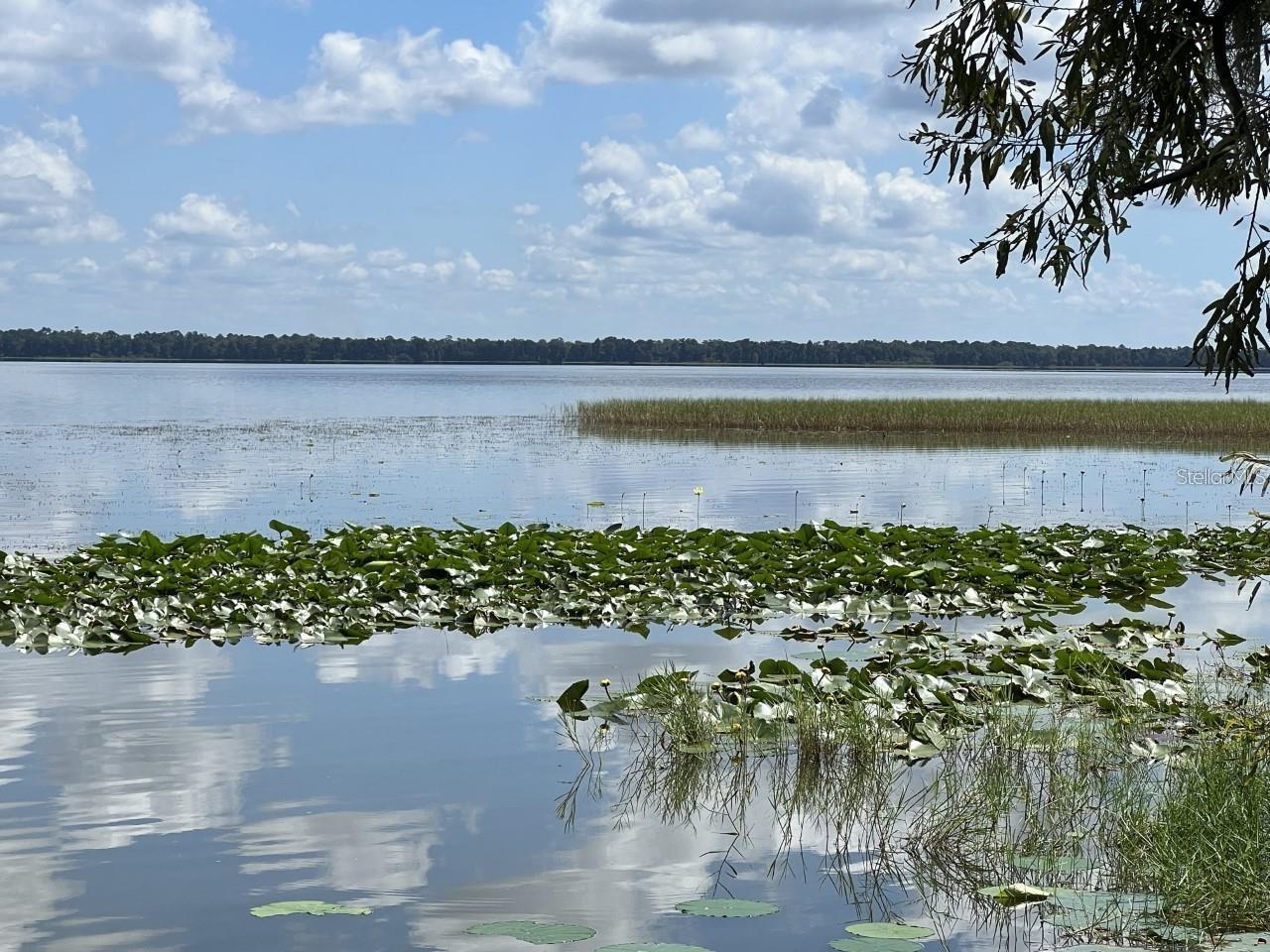 Image 5 of 11 For 0 Lake Pierce Drive