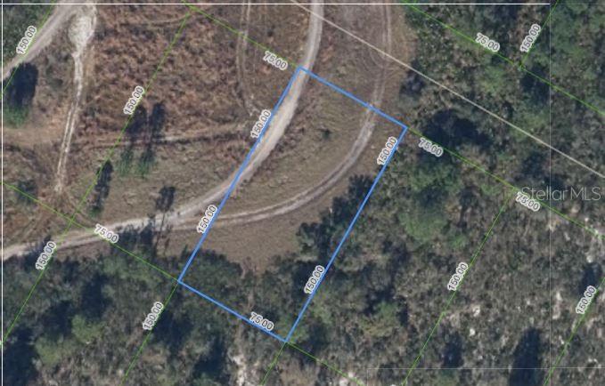 Details for 1033 Cleveland Avenue, LAKE PLACID, FL 33852