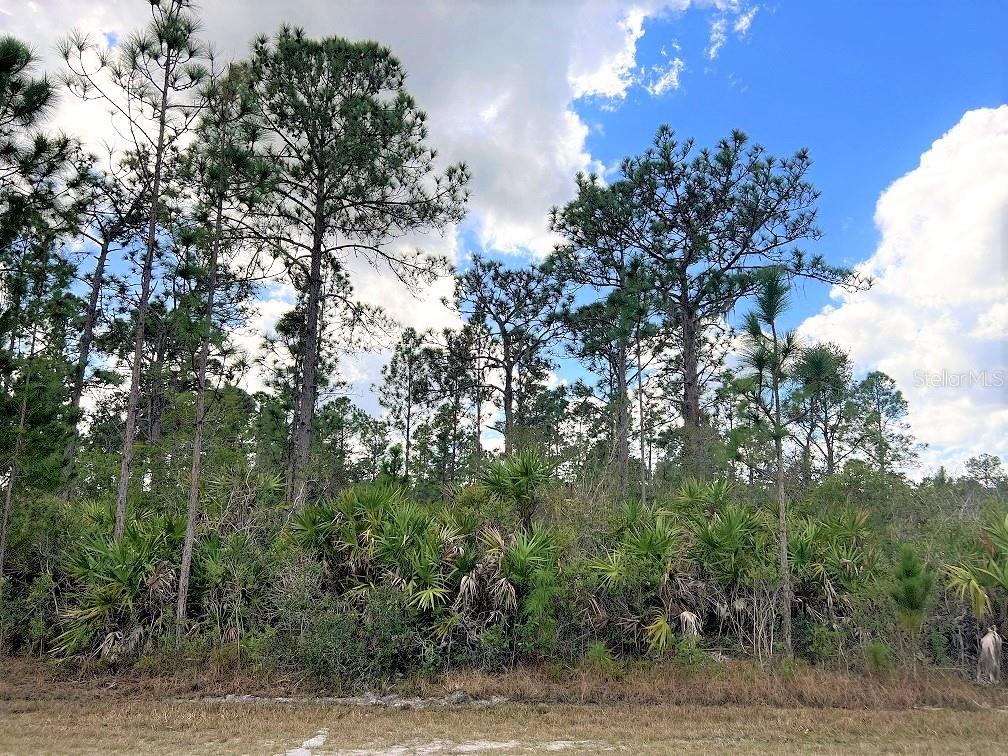 Image 3 of 3 For Orlando Drive