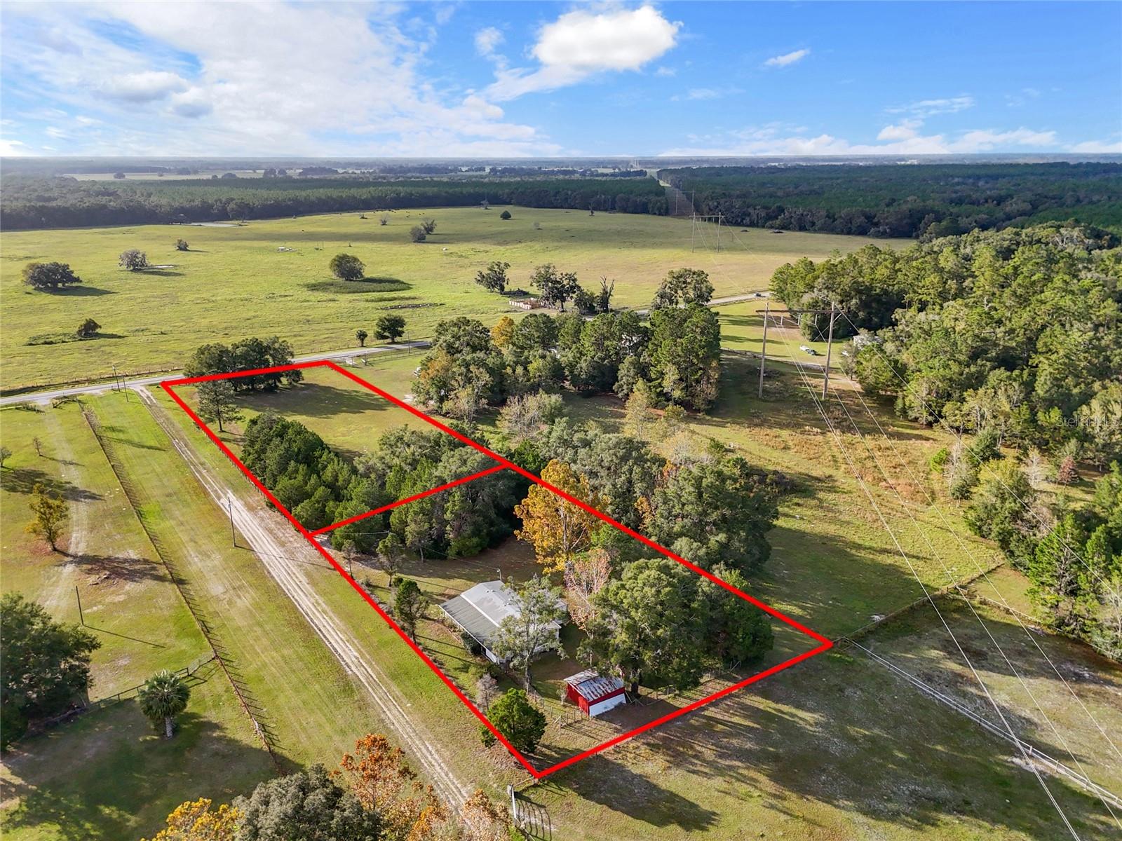 Details for 19261 Highway 335, WILLISTON, FL 32696