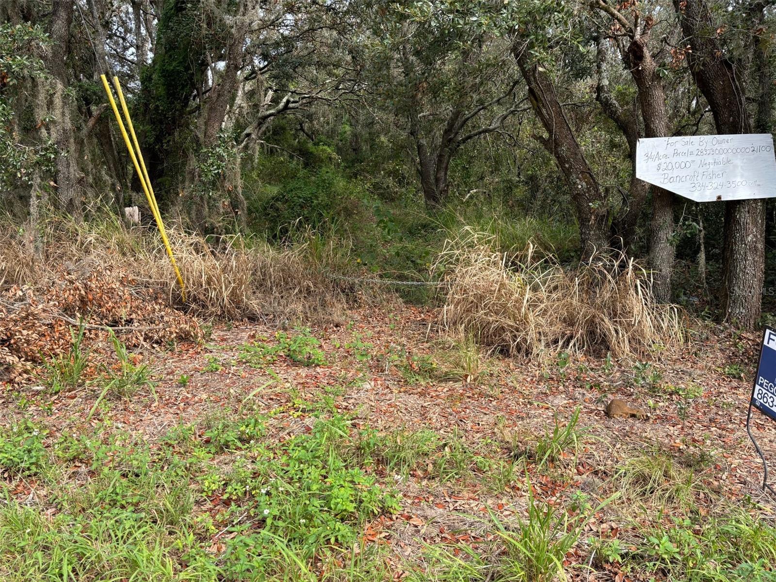 Details for Avon Park Cutoff Rd Road, FROSTPROOF, FL 33843