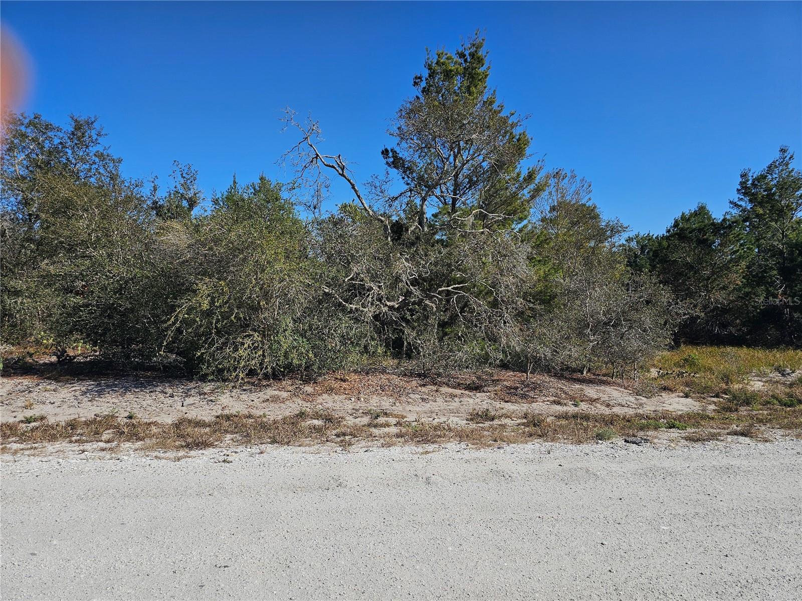 Details for 560 Morningside Drive, LAKE PLACID, FL 33852
