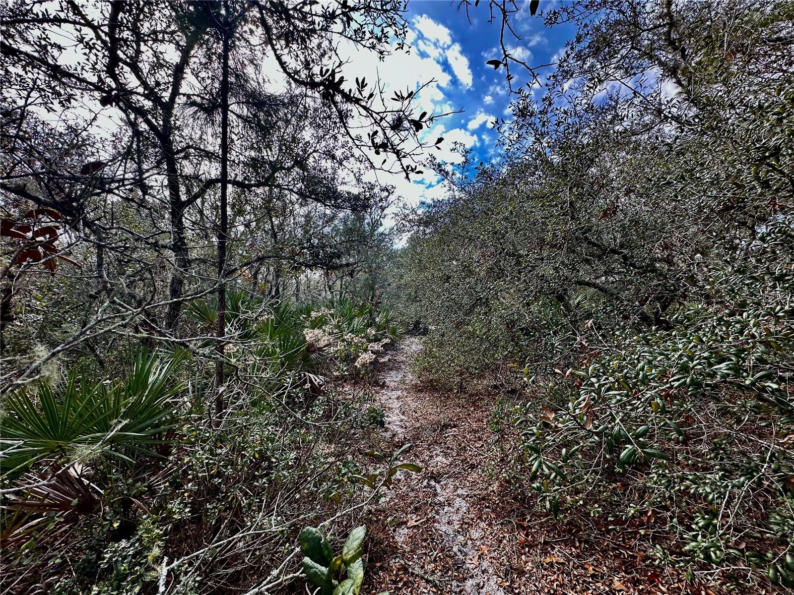 Image 39 of 39 For 2772 Indian Pipes Trail