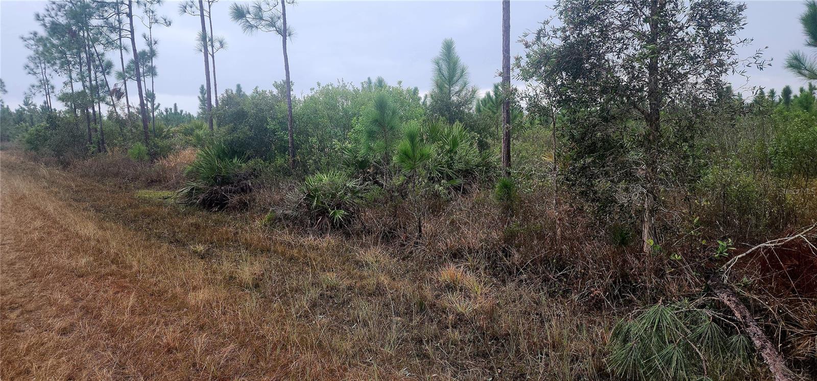 Details for 619 Calendula Drive, INDIAN LAKE ESTATES, FL 33855