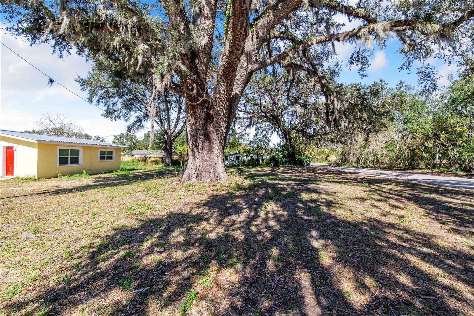 Image 4 of 7 For Fouse Avenue