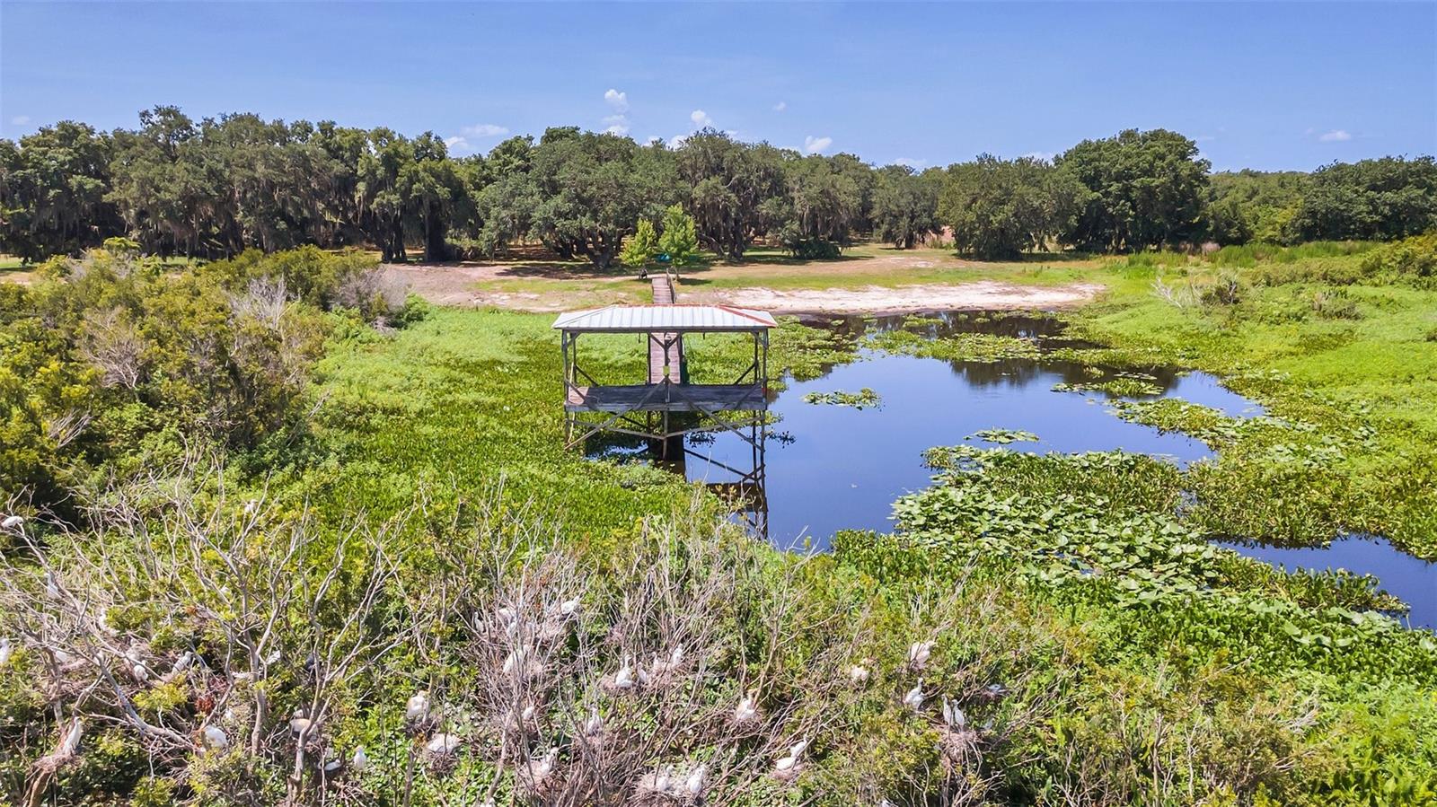 Image 64 of 74 For 21113 Kissimmee Shores Road