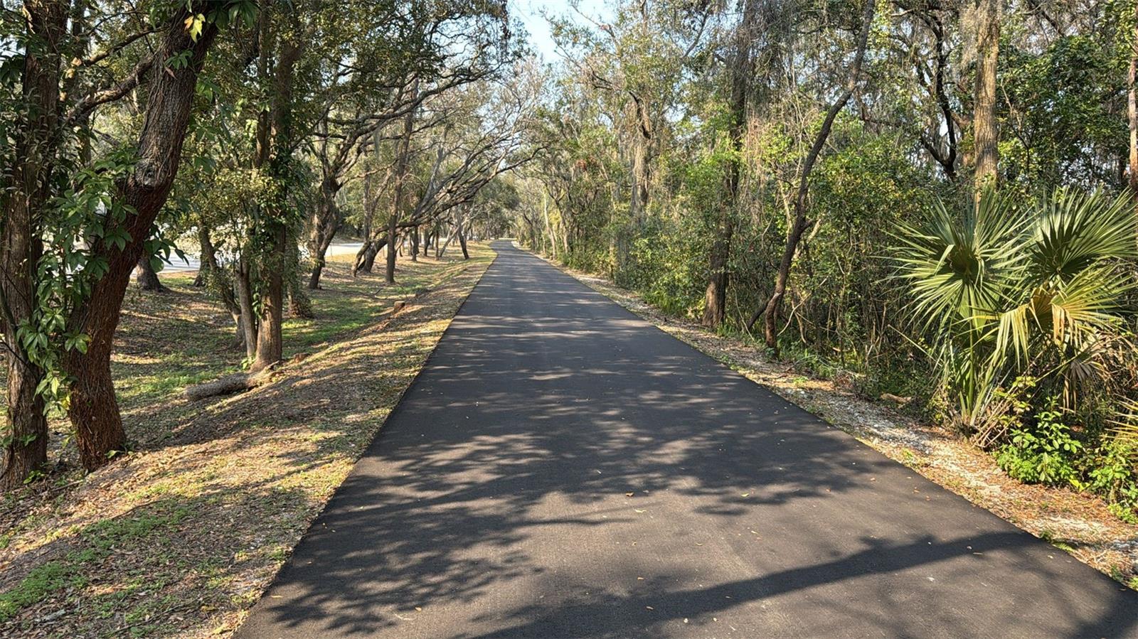 Image 11 of 11 For 1928 Old Apopka Road