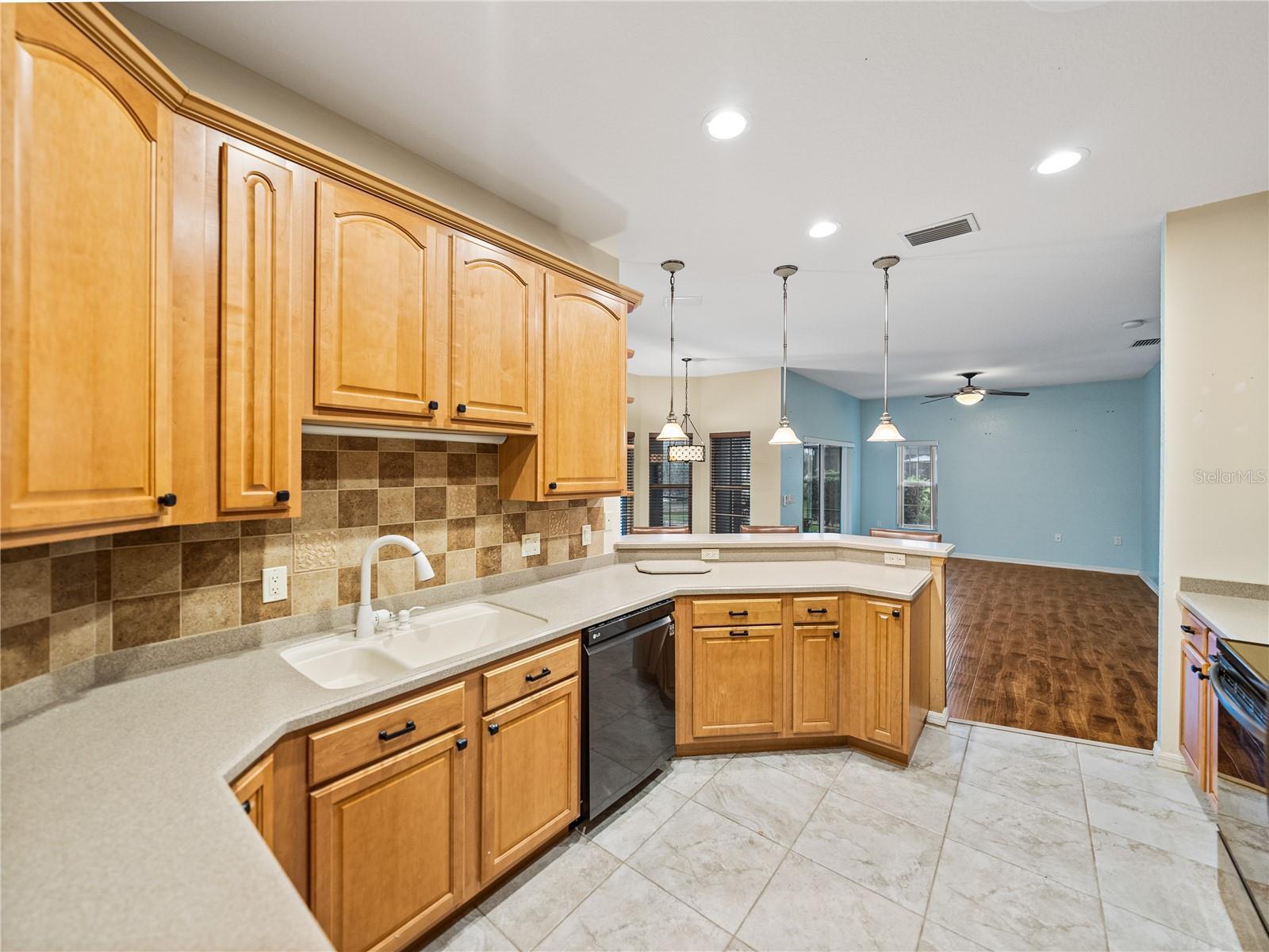 Image 15 of 73 For 4232 Roebelenii Drive