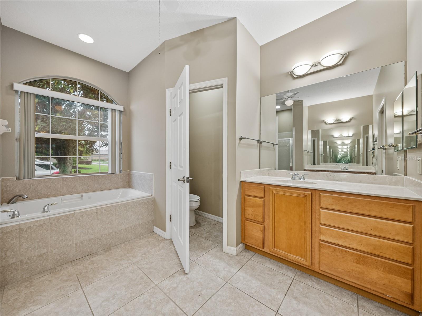 Image 39 of 73 For 4232 Roebelenii Drive