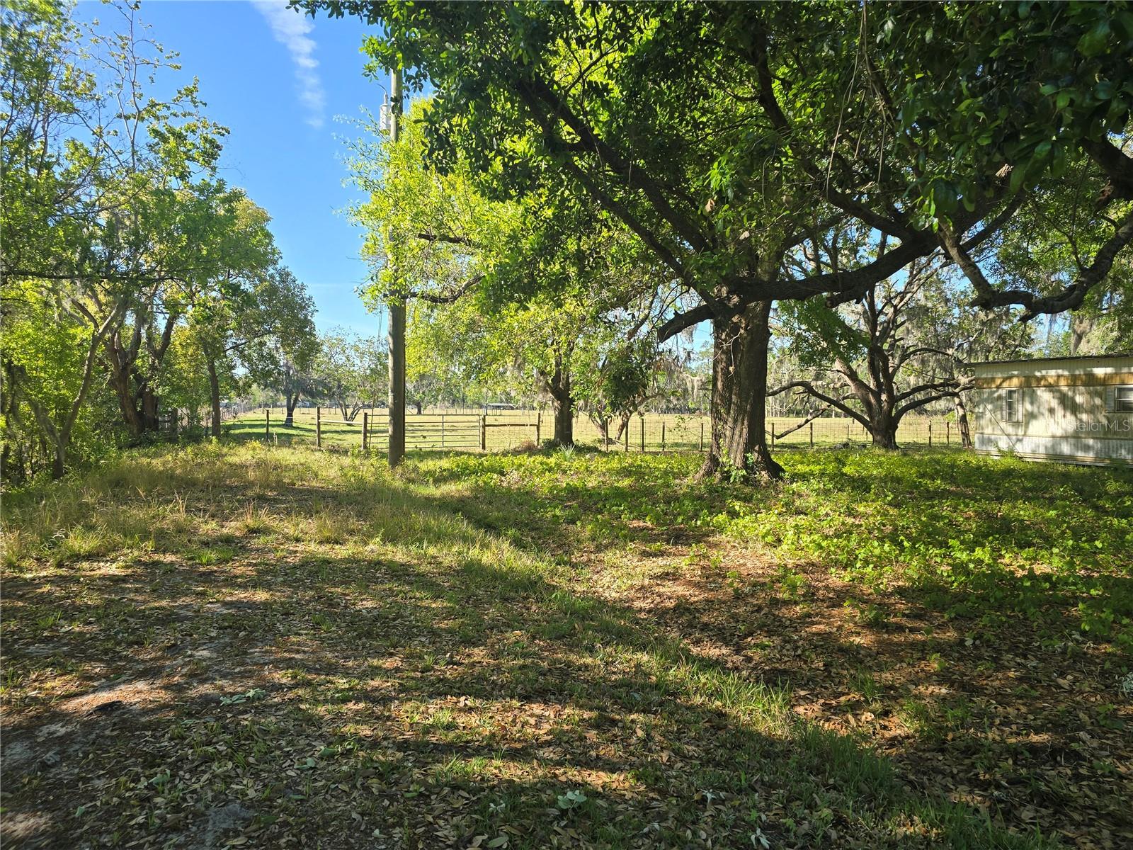 Image 3 of 8 For Johnson Road