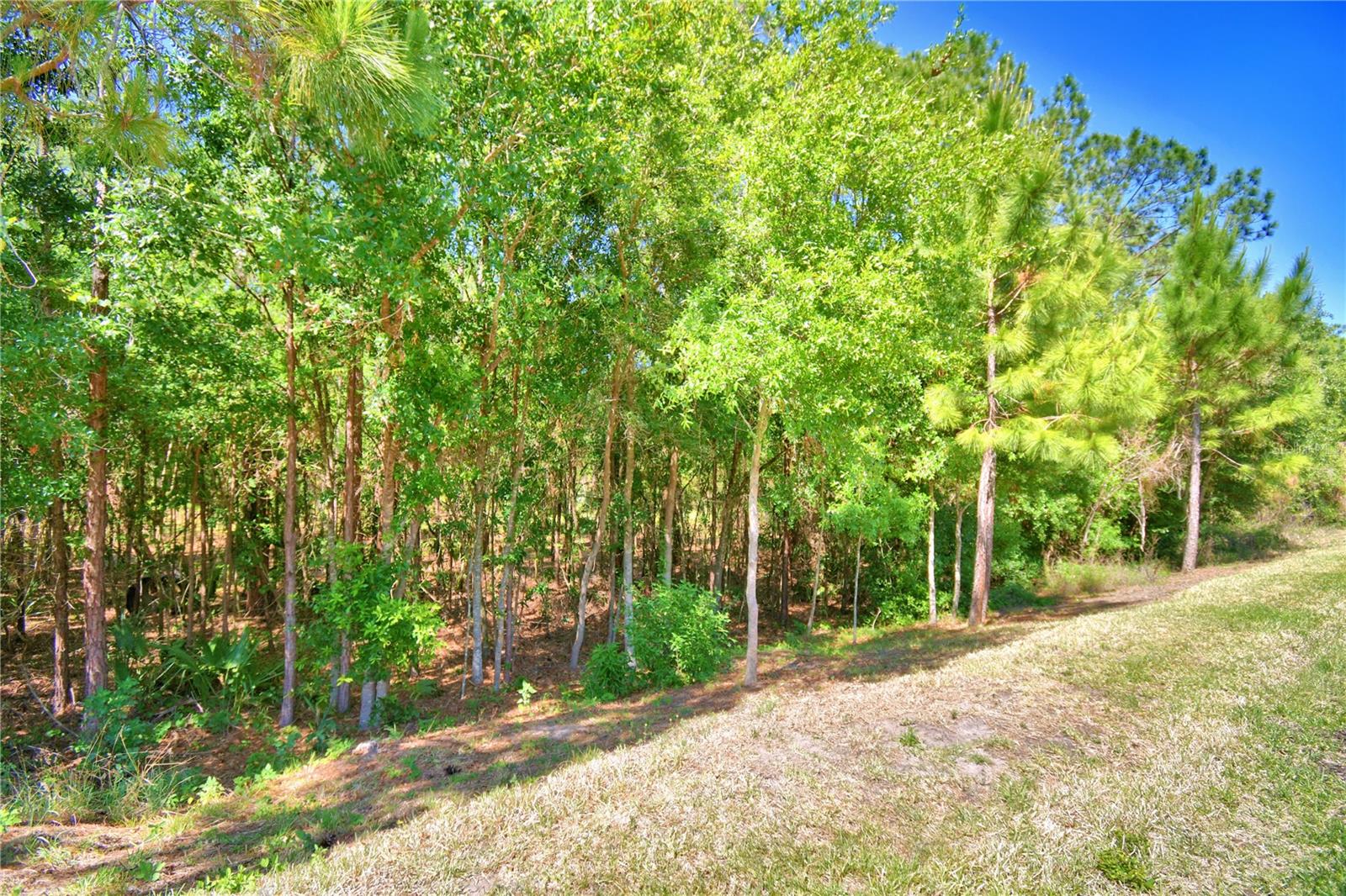 Image 3 of 53 For 1573 Vienna Square Dr