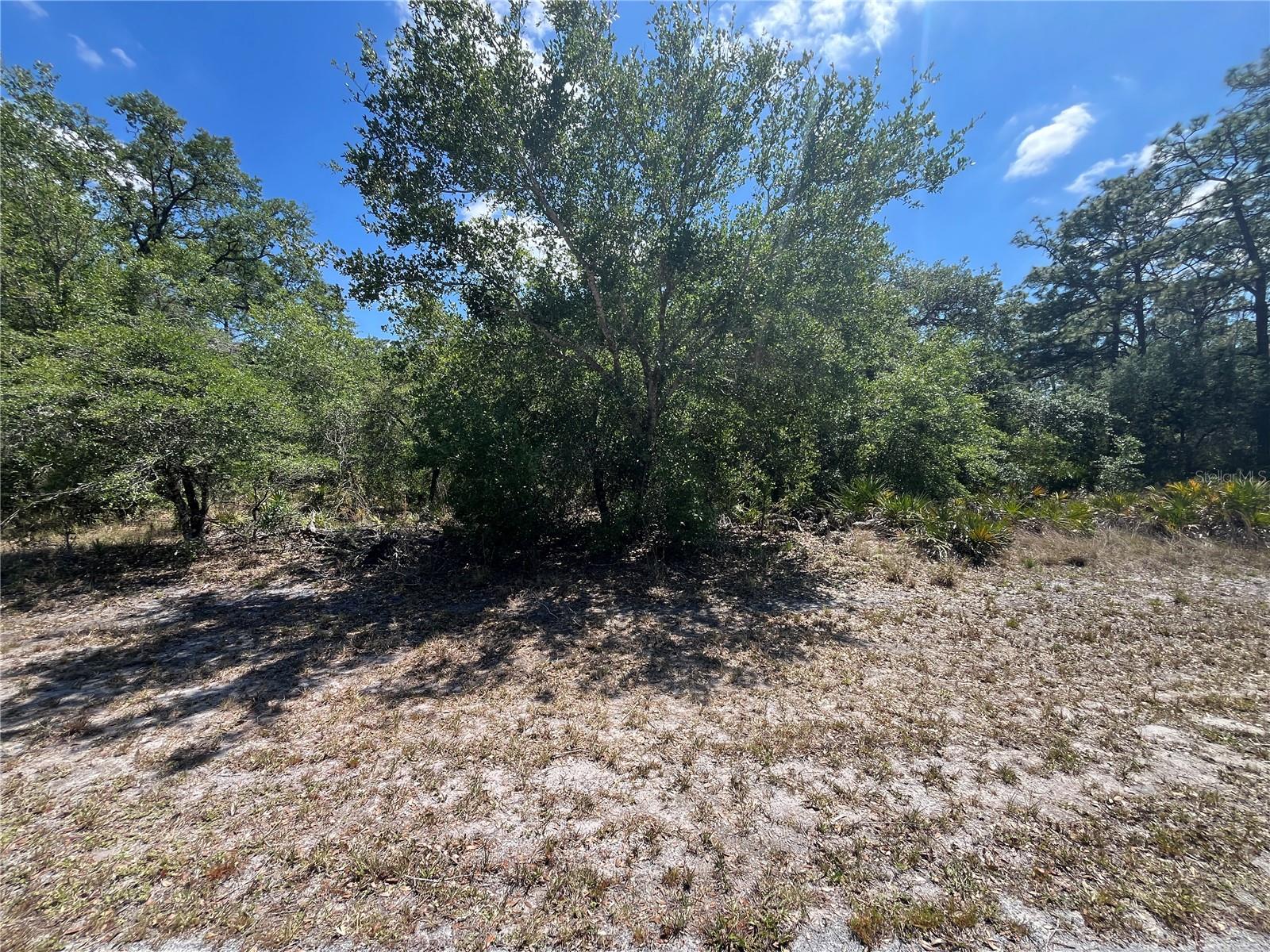 Details for Oleander Drive, INDIAN LAKE ESTATES, FL 33855