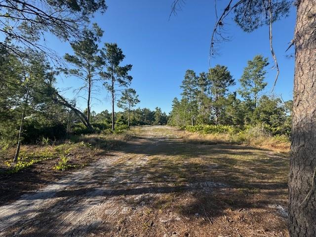 Image 8 of 10 For 0 Camp Mack Road
