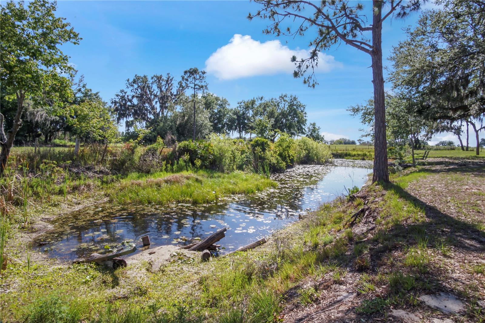 Listing photo id 38 for 1850 Lake Reedy Boulevard
