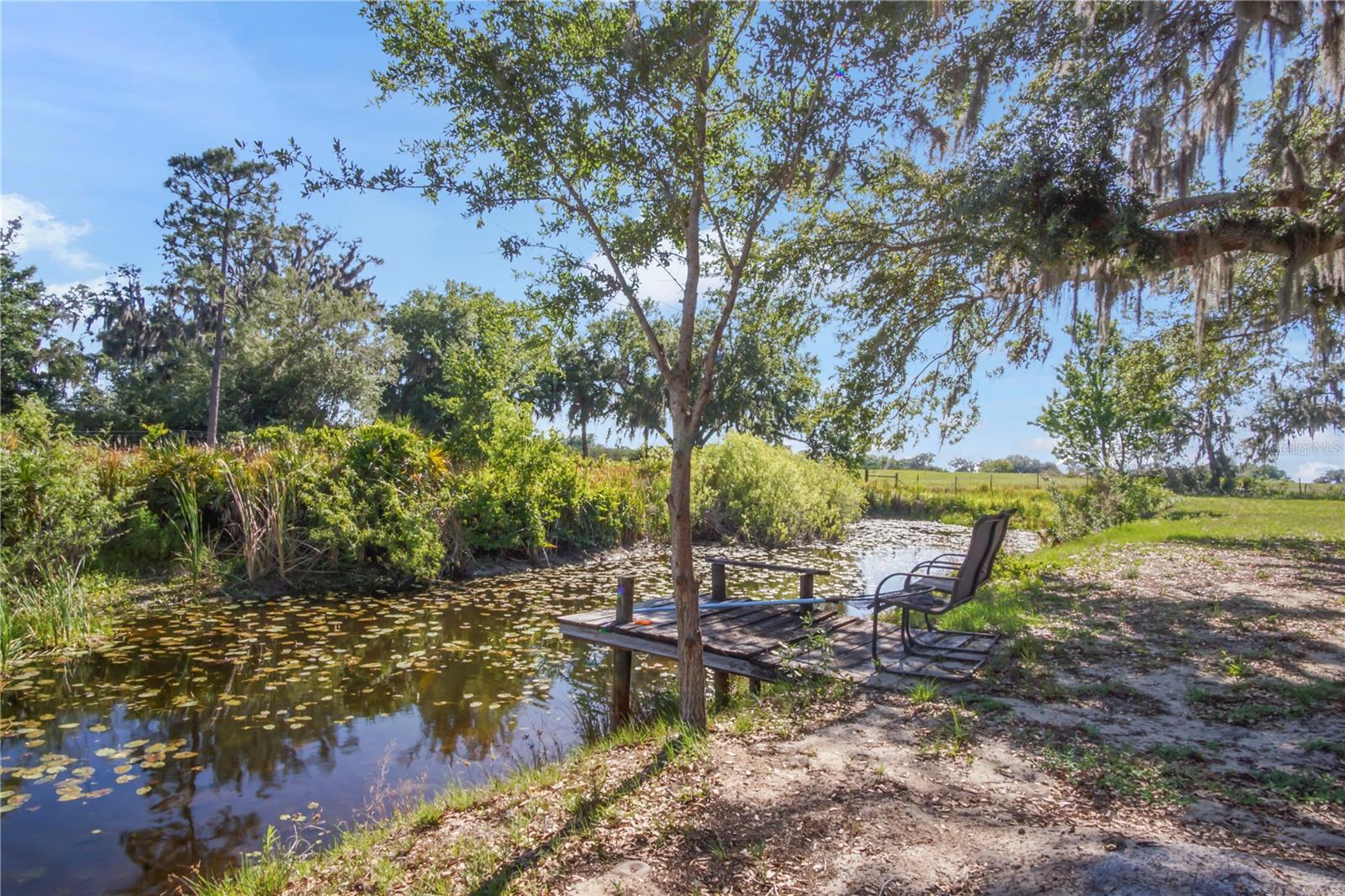 Listing photo id 39 for 1850 Lake Reedy Boulevard