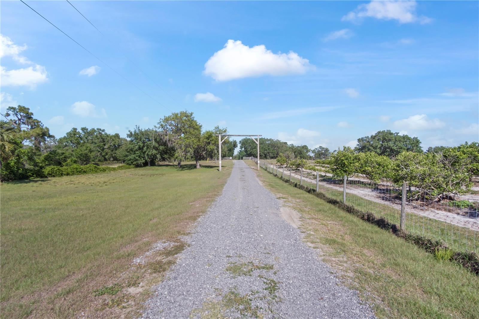 Listing photo id 46 for 1850 Lake Reedy Boulevard