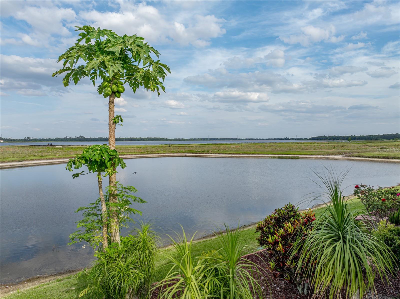 Image 77 of 95 For 4081 Dunmore Drive