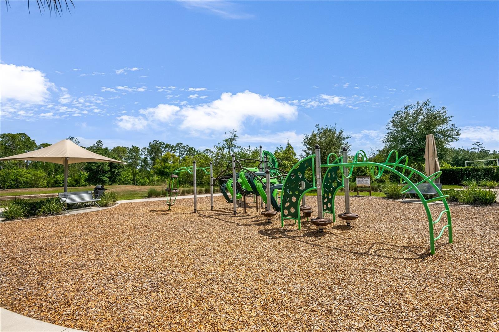 Image 50 of 51 For 2356 Palm Park Loop