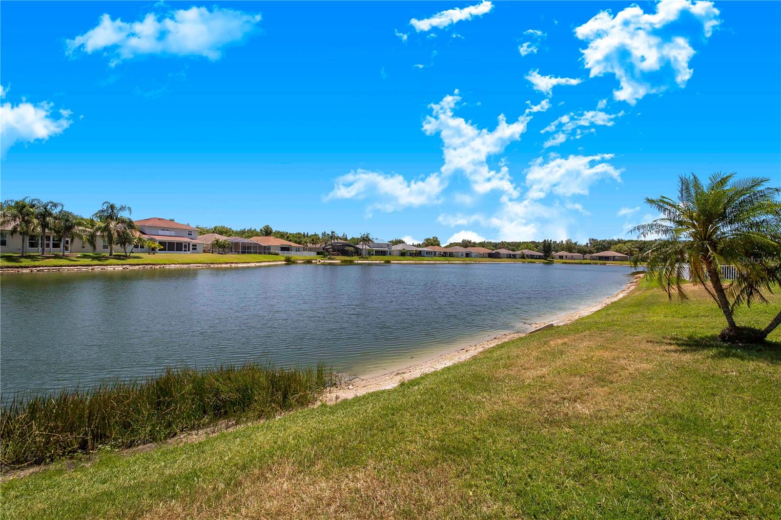 Image 41 of 63 For 3374 Waterlute Way