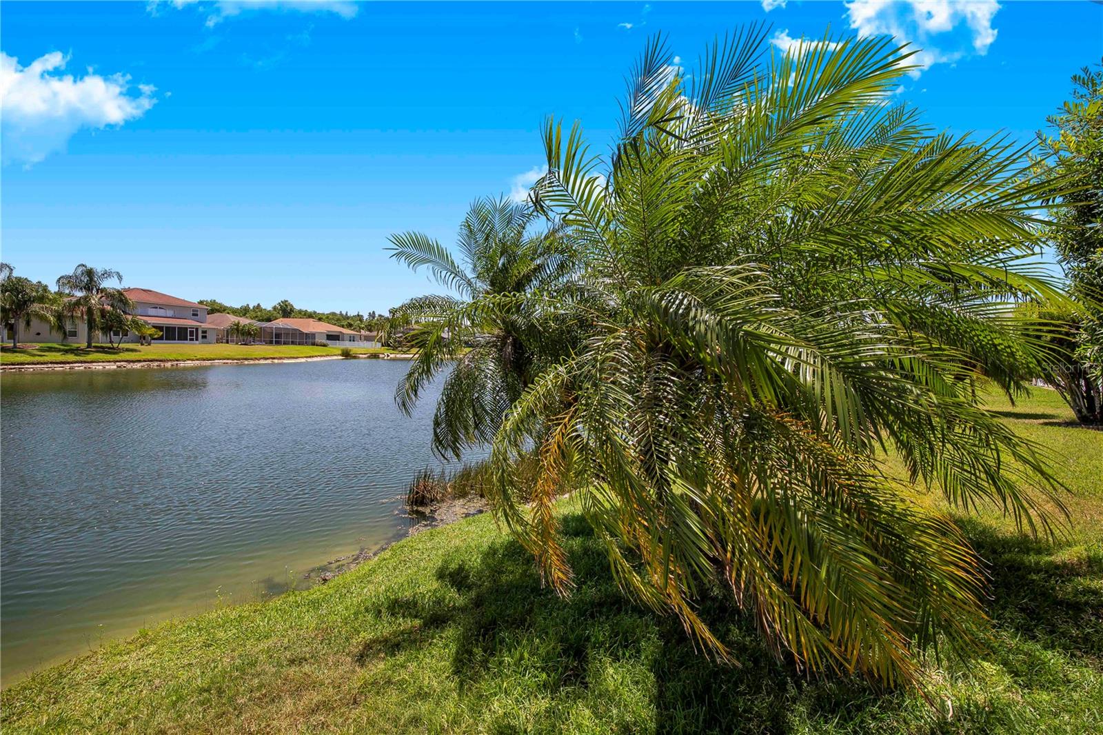 Image 44 of 63 For 3374 Waterlute Way