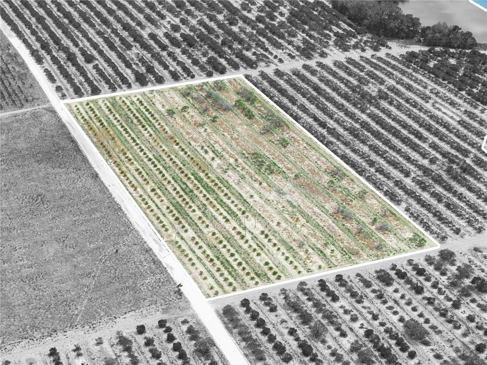 Image 9 of 17 For Gilbert Road