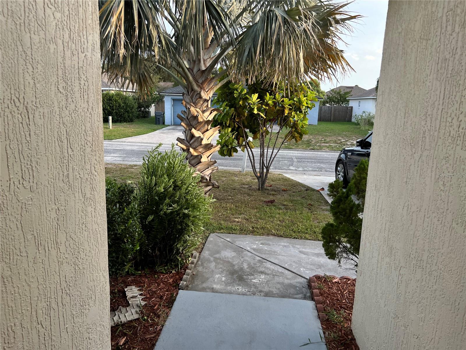 Image 6 of 9 For 123 Osprey Heights Drive