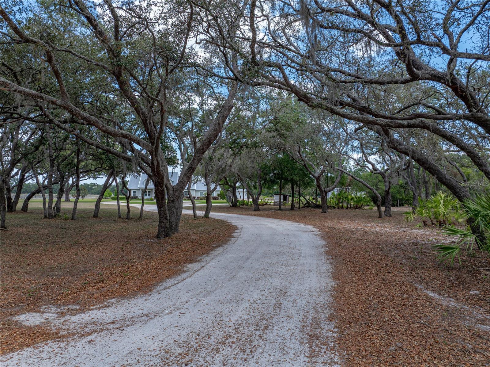 Listing photo id 1 for 3805 Mammoth Grove Road
